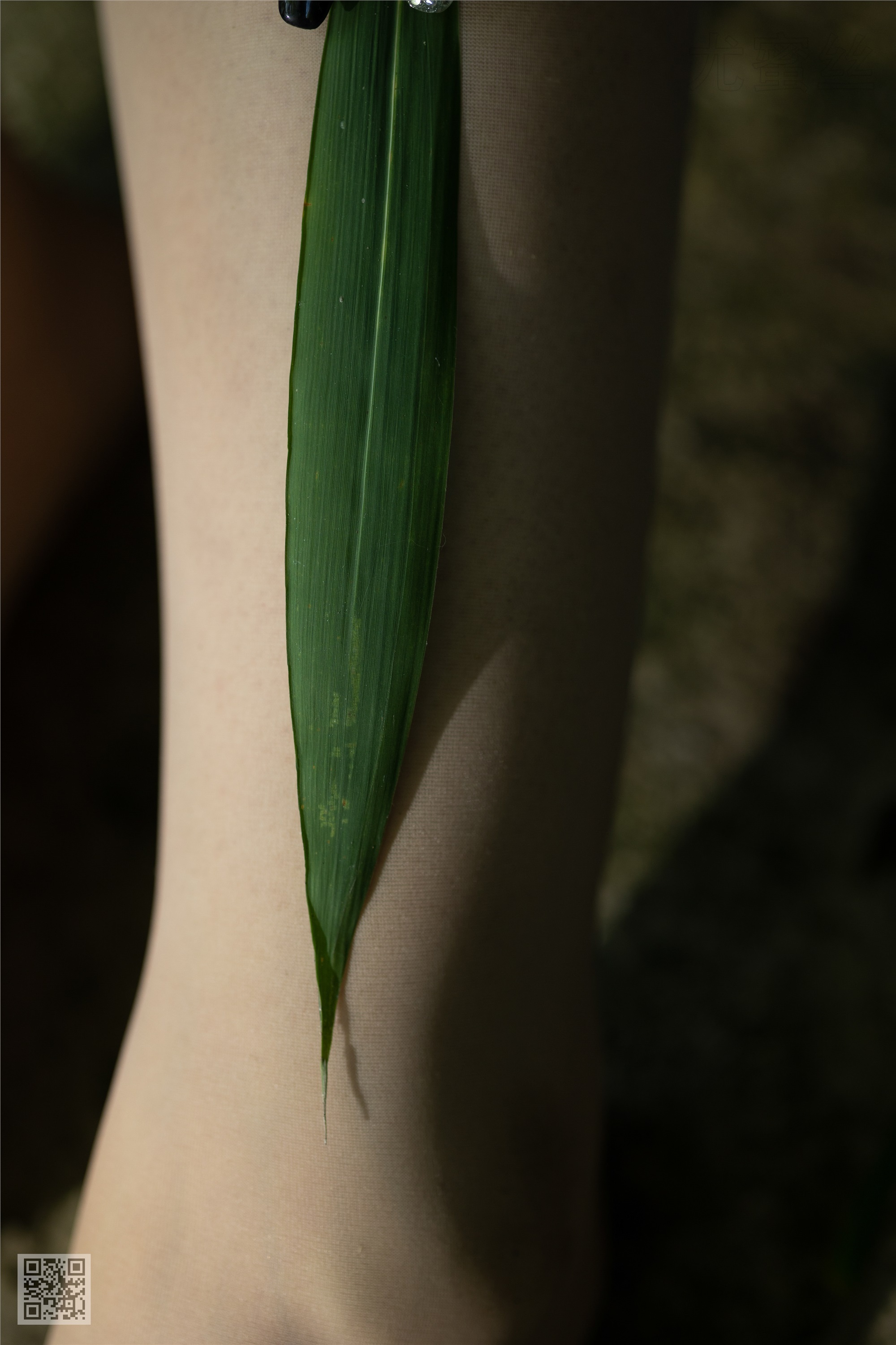 尤蜜丝 穿搭写真 No.113